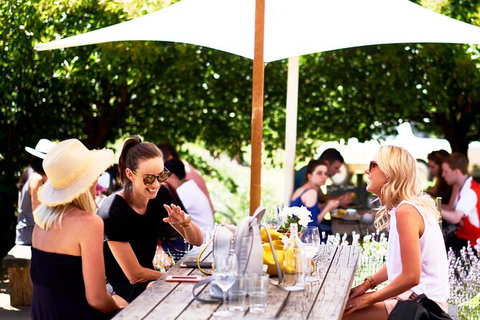 Montalto Vineyard: Mornington Peninsula Discovery Wine Tasting And Lunch - Mackay Tourism 3