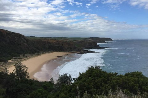 Phillip Island, George Bass Coastal Walk And Penguins Tour - Mackay Tourism 0