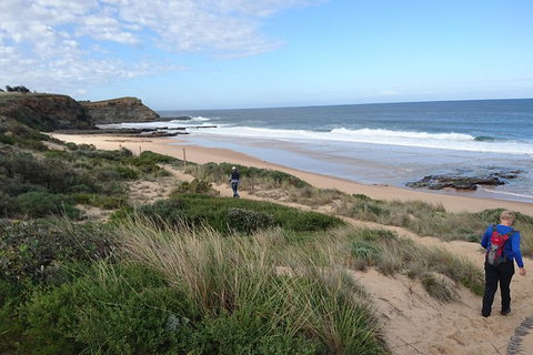 Phillip Island, George Bass Coastal Walk And Penguins Tour - Mackay Tourism 1