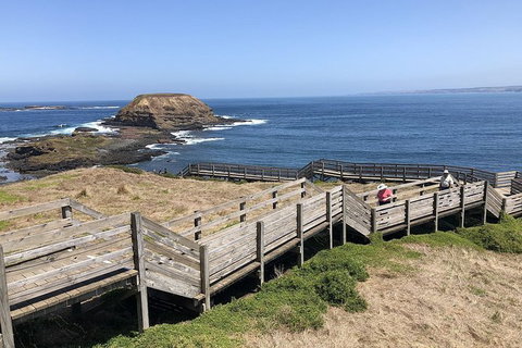 Phillip Island, George Bass Coastal Walk And Penguins Tour - Mackay Tourism 7