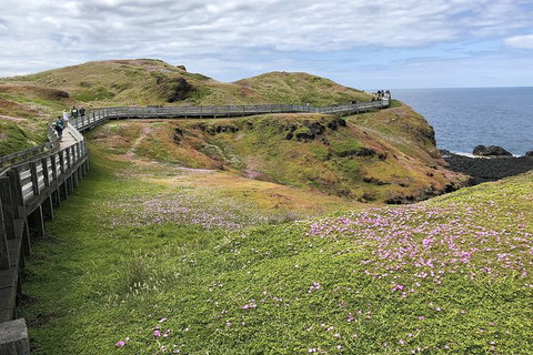 Phillip Island, George Bass Coastal Walk And Penguins Tour - Mackay Tourism 6
