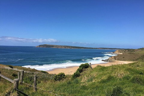 Phillip Island, George Bass Coastal Walk And Penguins Tour - Mackay Tourism 3