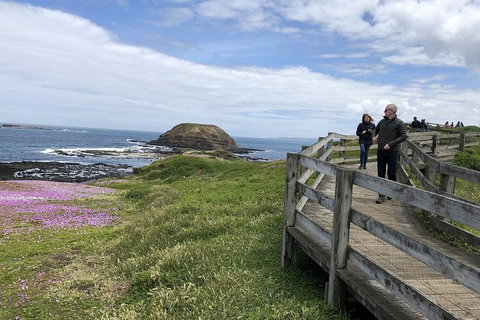 Phillip Island, George Bass Coastal Walk And Penguins Tour - Mackay Tourism 12