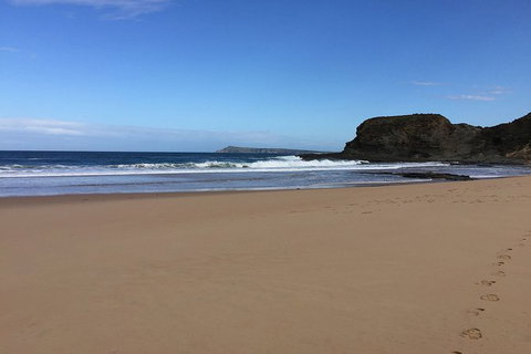 Phillip Island, George Bass Coastal Walk And Penguins Tour - Mackay Tourism 8