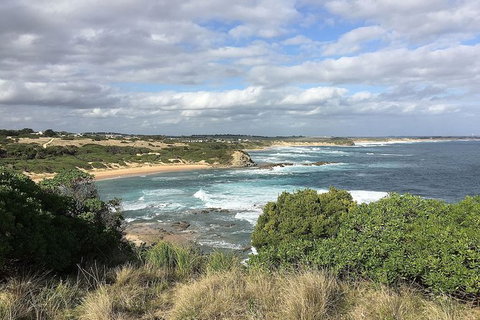 Phillip Island, George Bass Coastal Walk And Penguins Tour - Mackay Tourism 5