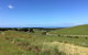 Phillip Island, George Bass Coastal Walk And Penguins Tour - thumb 10