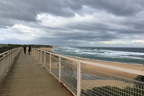 Phillip Island, George Bass Coastal Walk And Penguins Tour - Mackay Tourism 11