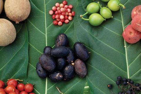 AUSTRALIAN NATIVE FOOD TOUR From Melbourne - Mackay Tourism 0