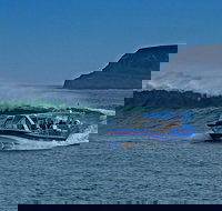 Phillip Island Wildlife Cruise with Optional Penguin Parade and 3 Park Pass - Mackay Tourism