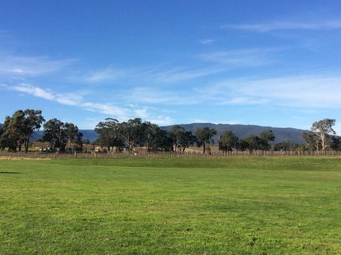Yarra Valley Wineries And Puffing Billy Steam Train Tour From Melbourne - Mackay Tourism 17