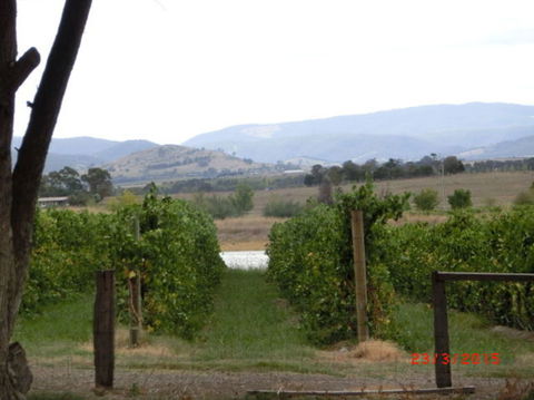Yarra Valley Wineries And Puffing Billy Steam Train Tour From Melbourne - Mackay Tourism 25