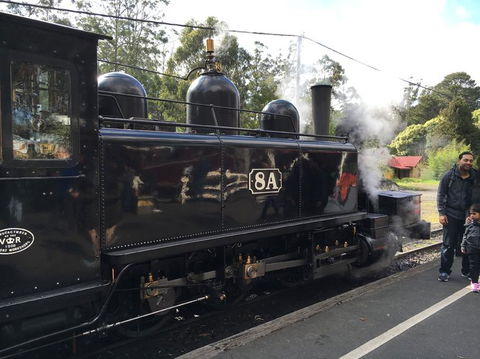 Yarra Valley Wineries And Puffing Billy Steam Train Tour From Melbourne - Mackay Tourism 13