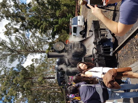 Yarra Valley Wineries And Puffing Billy Steam Train Tour From Melbourne - Mackay Tourism 5