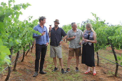 Yarra Valley Wineries And Puffing Billy Steam Train Tour From Melbourne - Mackay Tourism 29