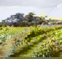 Phillip Island Wine Experience Tour - Mackay Tourism