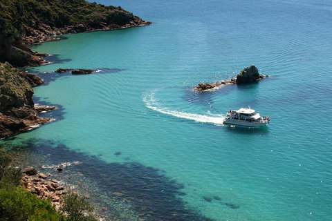 Cape Woolamai Sightseeing Cruise From San Remo - Mackay Tourism 0