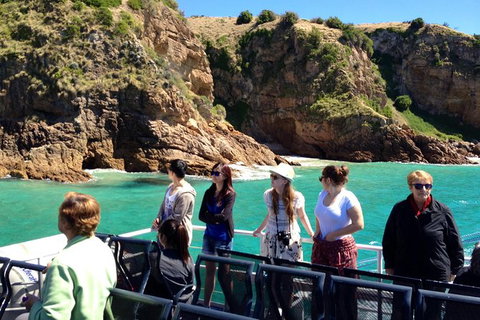 Cape Woolamai Sightseeing Cruise From San Remo - Mackay Tourism 1