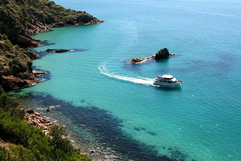 Cape Woolamai Sightseeing Cruise From San Remo - Mackay Tourism 3