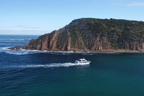 Cape Woolamai Sightseeing Cruise From San Remo - Mackay Tourism 2