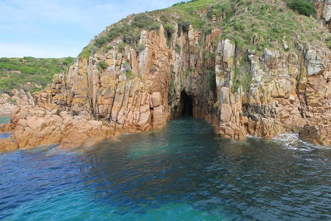 Cape Woolamai Sightseeing Cruise From San Remo - Mackay Tourism 4