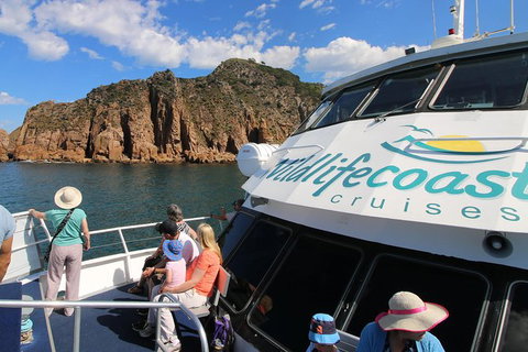 Cape Woolamai Sightseeing Cruise From San Remo - Mackay Tourism 9