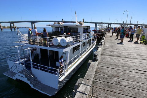 Cape Woolamai Sightseeing Cruise From San Remo - Mackay Tourism 7