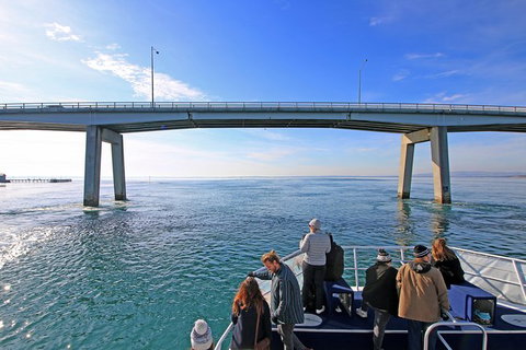 Cape Woolamai Sightseeing Cruise From San Remo - Mackay Tourism 5