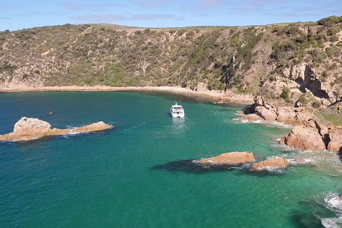 Cape Woolamai Sightseeing Cruise From San Remo - Mackay Tourism 6