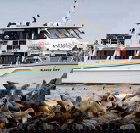 Phillip Island Seal-Watching Cruise - Mackay Tourism