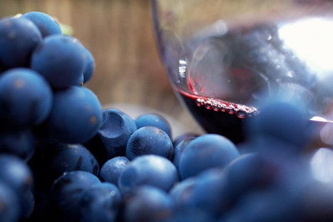 Small Group 6 Guests: Ultimate Mornington Peninsula Food And Wine - Mackay Tourism 2