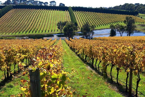 Small Group 6 Guests: Ultimate Mornington Peninsula Food And Wine - Mackay Tourism 3