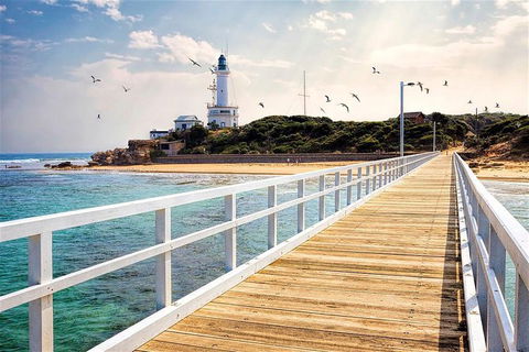 Around The Bay Sightseeing And Bay Cruise - Mackay Tourism 9