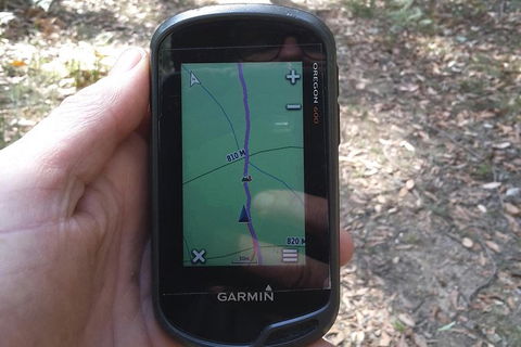 GPS Guided Walks In The Daylesford Forest - Mackay Tourism 0