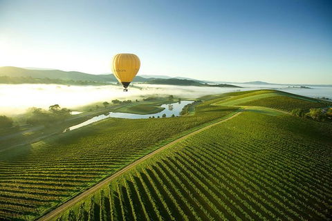 Yarra Valley Wine Tours For 24 Guests - Mackay Tourism 0