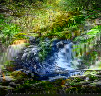 Day Tour in Mt. Field Mt. Wellington Bonorong Wildlife Sanctuary and Richmond - Mackay Tourism