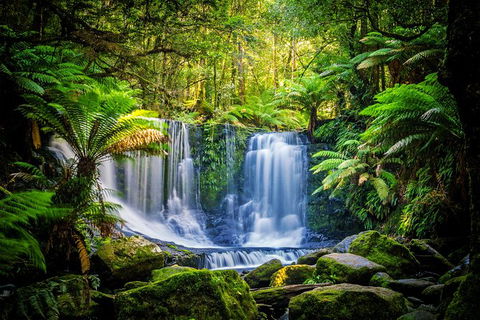 Day Tour In Mt. Field, Mt. Wellington, Bonorong Wildlife Sanctuary And Richmond - Mackay Tourism 0