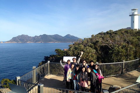 Wineglass Bay And Freycinet National Park Active Day Trip From Hobart - Mackay Tourism 1