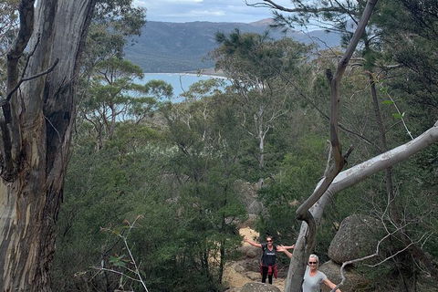 Wineglass Bay And Freycinet National Park Active Day Trip From Hobart - Mackay Tourism 14