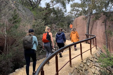 Wineglass Bay And Freycinet National Park Active Day Trip From Hobart - Mackay Tourism 25