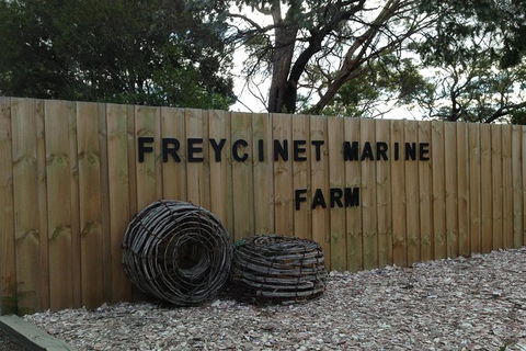 Wineglass Bay And Freycinet National Park Active Day Trip From Hobart - Mackay Tourism 20