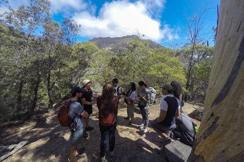Wineglass Bay And Freycinet National Park Active Day Trip From Hobart - Mackay Tourism 9