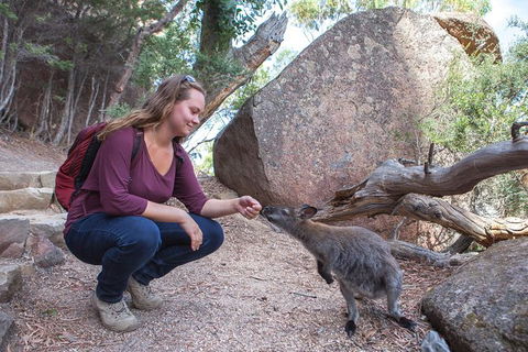 Wineglass Bay And Freycinet National Park Active Day Trip From Hobart - Mackay Tourism 31