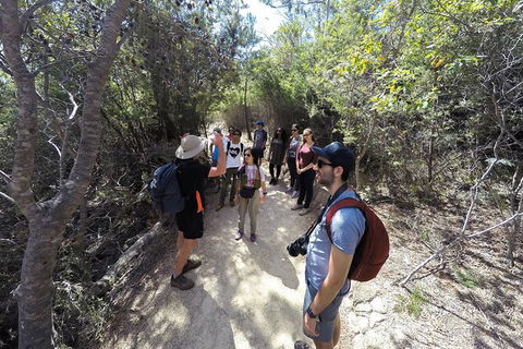 Wineglass Bay And Freycinet National Park Active Day Trip From Hobart - Mackay Tourism 19