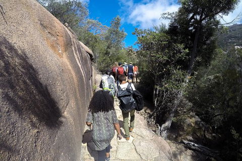 Wineglass Bay And Freycinet National Park Active Day Trip From Hobart - Mackay Tourism 21