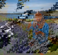 Port Arthur and Lavender Farm Active Day Tour - Mackay Tourism