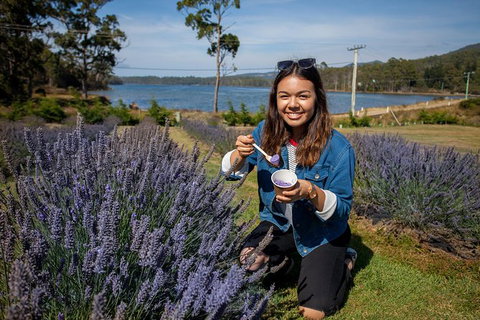 Port Arthur And Lavender Farm Active Day Tour - Mackay Tourism 0