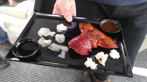 Fresh From The Ocean: Tasmanian Seafood Gourmet Full-Day Cruise Including Lunch - Mackay Tourism 5