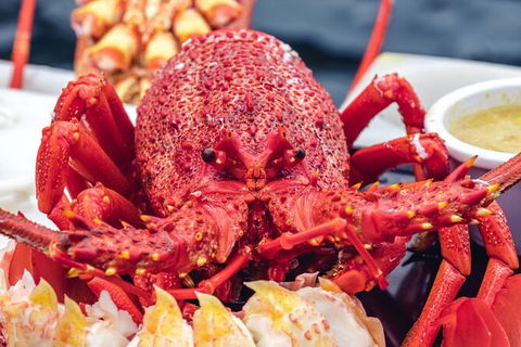 Fresh From The Ocean: Tasmanian Seafood Gourmet Full-Day Cruise Including Lunch - Mackay Tourism 15