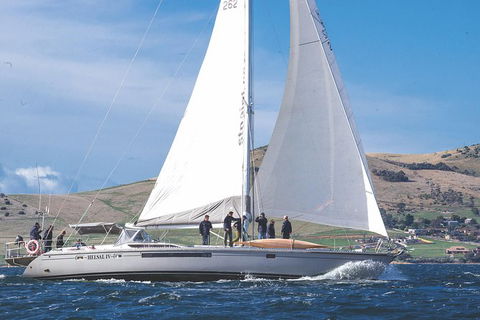 Half-Day Sailing On The Derwent River From Hobart - Mackay Tourism 5