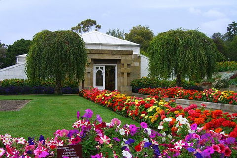 Hobart City Sightseeing Tour Including MONA Admission - Mackay Tourism 1